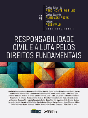 cover image of Responsabilidade Civil e a Luta pelos Direitos Fundementais
